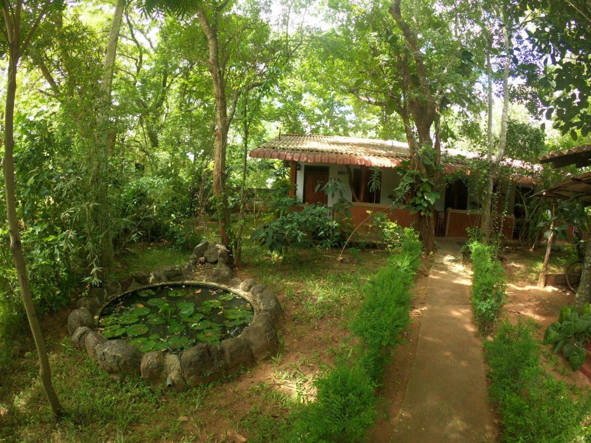 New Sisira Natural Lodge Σιγκιρίγια Εξωτερικό φωτογραφία